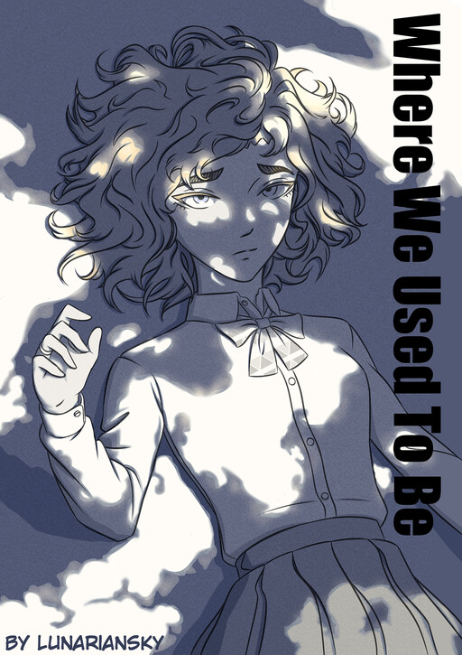 Cover of Where We Used To Be