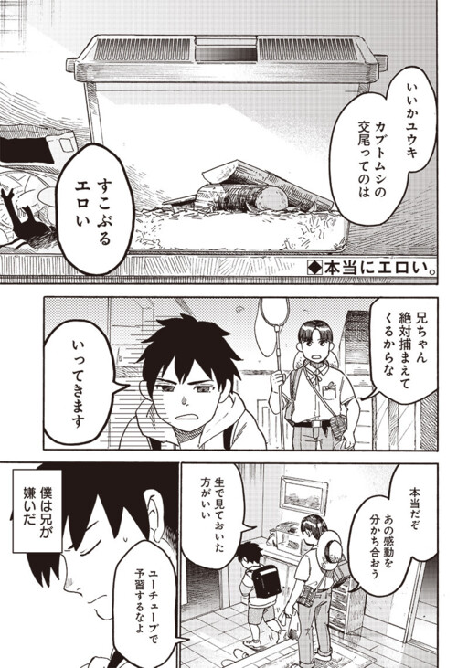 Cover of Kabutomushi to Nii-chan