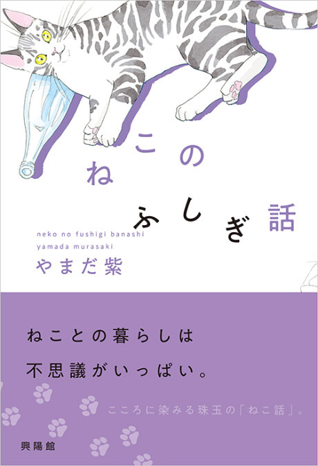 Cover of Mysterious Cat Story
