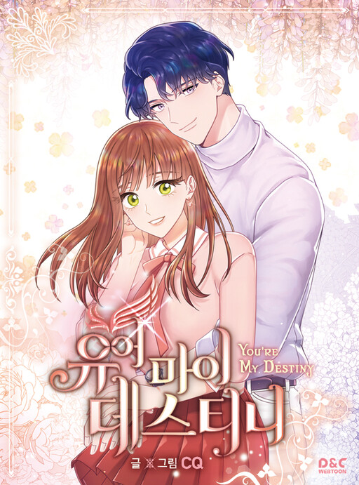 Cover of You Are My Destiny