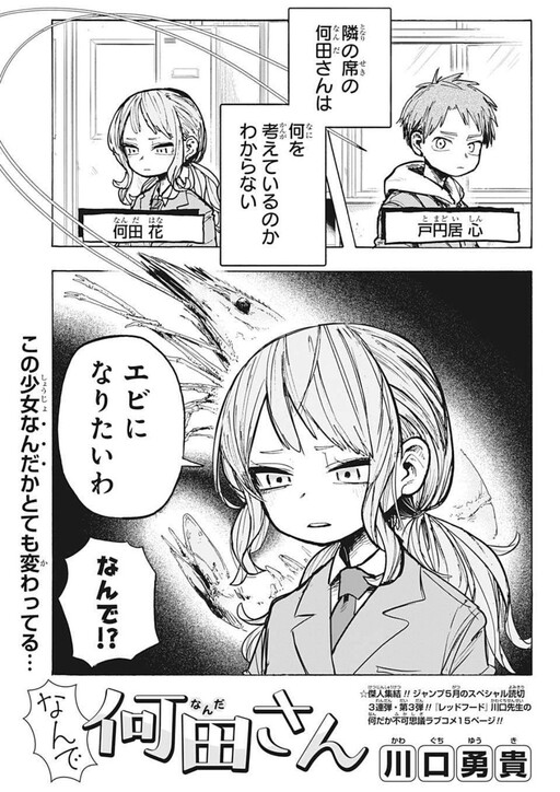 Cover of Why, Nanda-san?