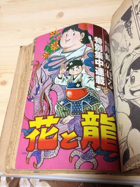 Cover of Flower and Dragon