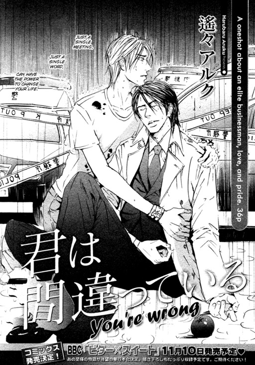 Cover of Kimi wa Machigatteiru