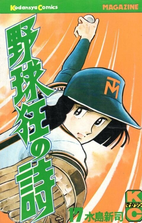 Cover of Baseball Fanatic's Poem