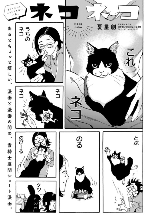 Cover of ネコネコ
