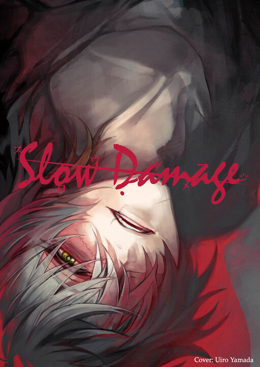 Cover of Slow Damage