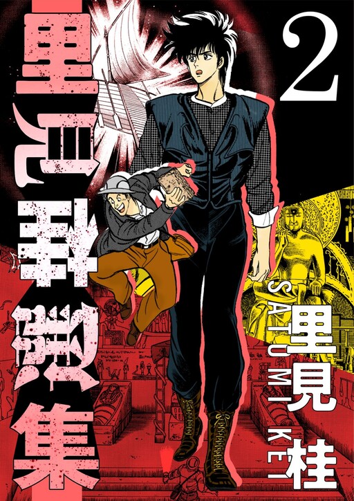 Cover of Satomi Kei's Selected Works