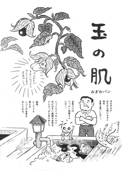 Cover of The Skin of a Ball