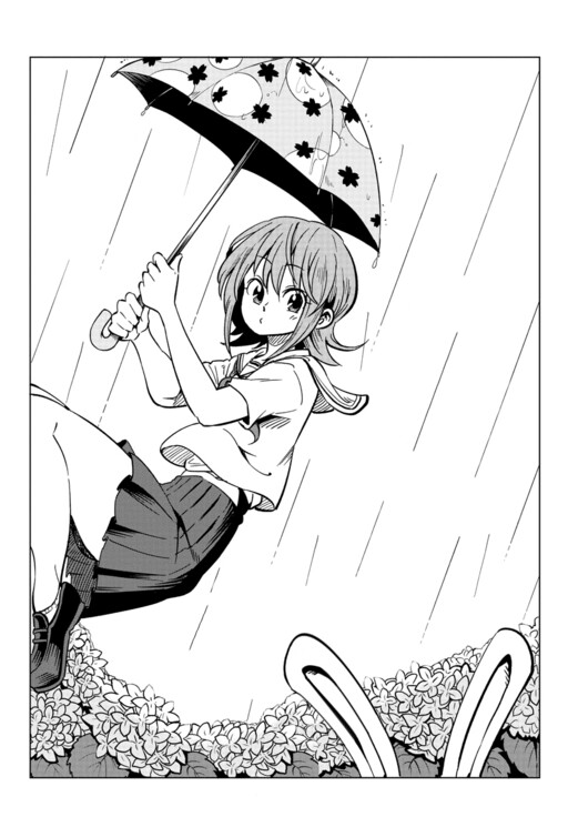 Cover of The Umbrella Thief Chase