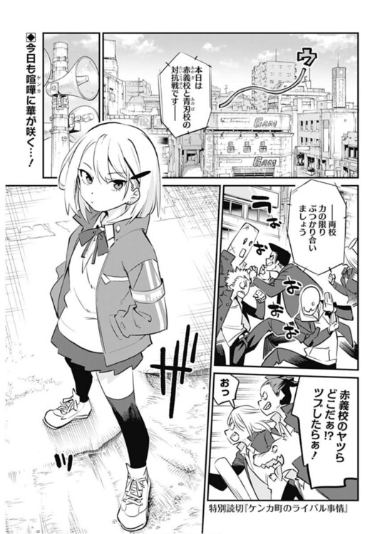 Cover of A Rivalry in Brawl Town