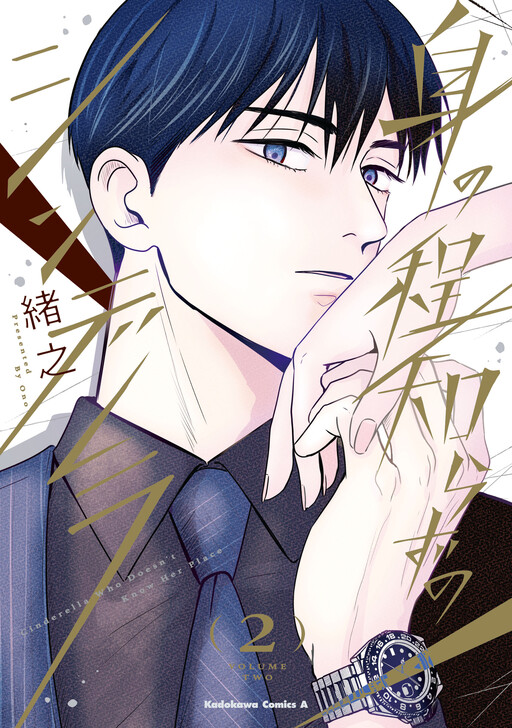 Cover of Minohodoshirazu No Cinderella