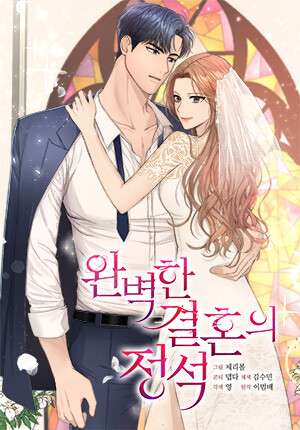 Cover of Perfect Marriage Revenge
