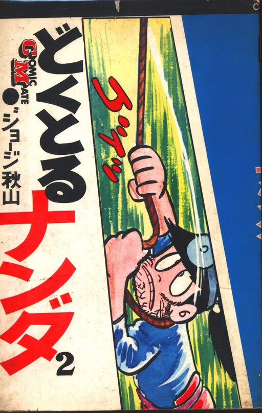 Cover of Doctor Nanda