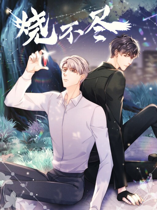 Cover of Eternal Burning