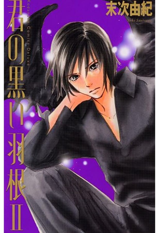 Cover of Your Black Wings