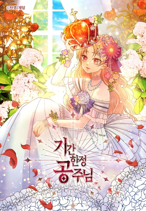 Cover of Limited Time Princess