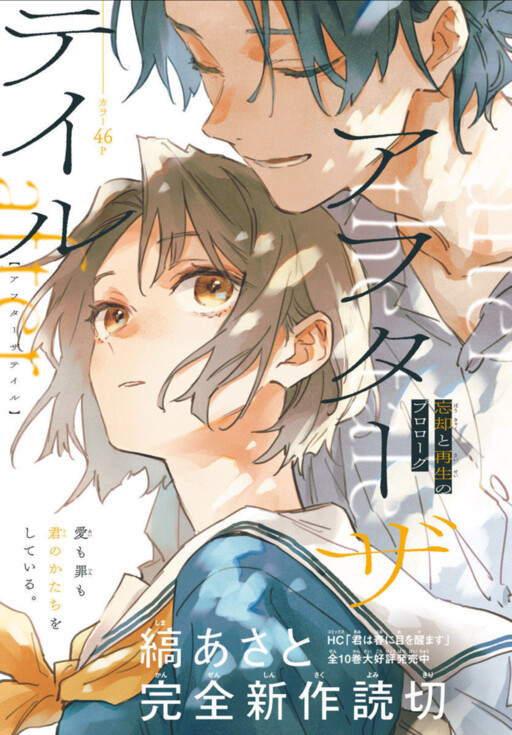 Cover of After the Tale