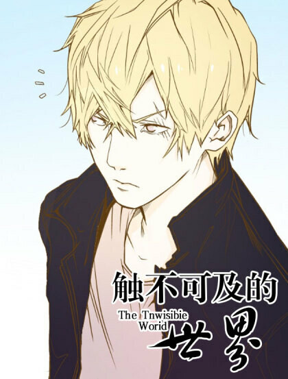 Cover of The Invisible World