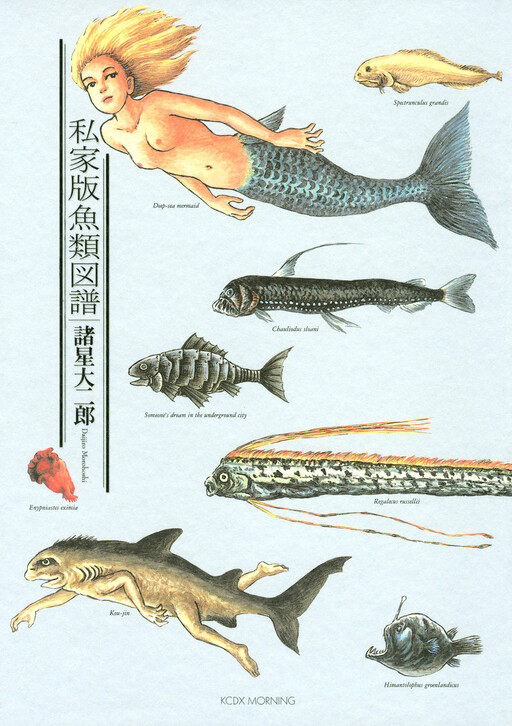 Cover of Private Version of Fish Illustrations