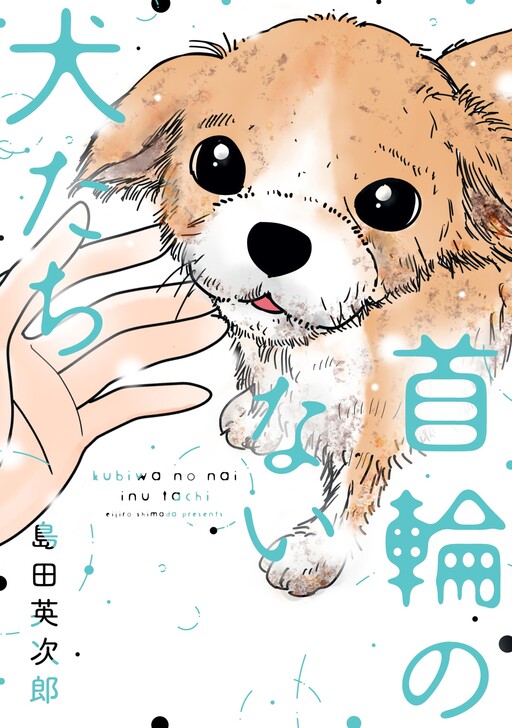 Cover of Dogs Without Collars