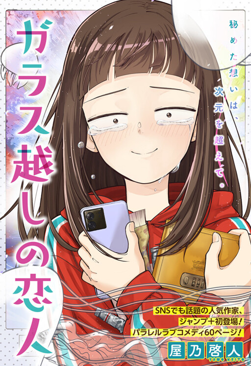 Cover of Beyond the Screen
