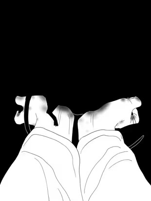 Cover of The Rat