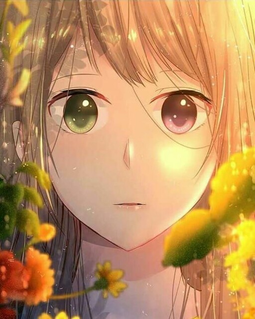 Cover of Switched Girls
