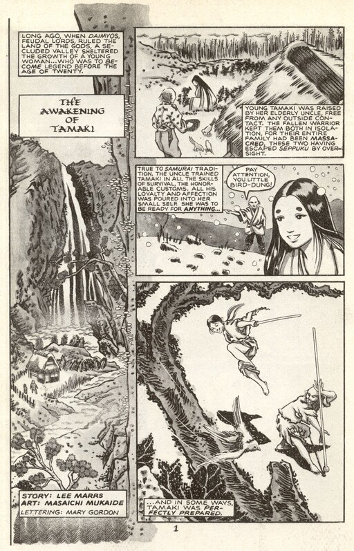 Cover of The Awakening of Tamaki