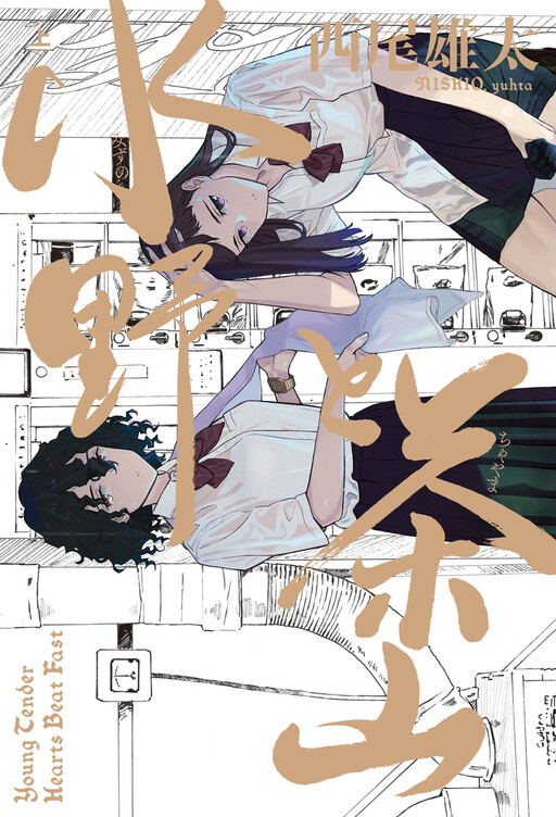 Cover of Mizuno and Chayama