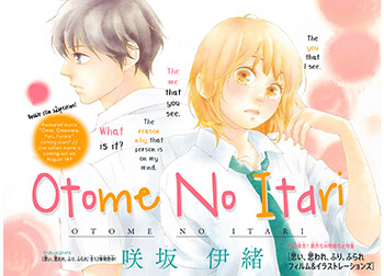 Cover of The Height of A Maiden