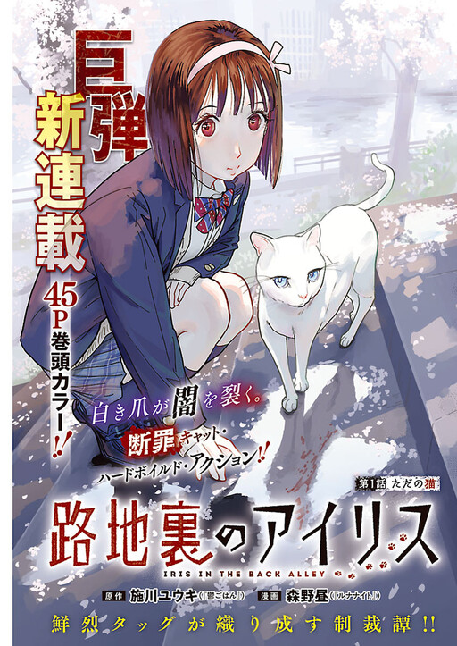 Cover of 路地裏のアイリス