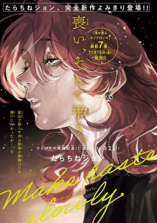 Cover of Make Haste Slowly
