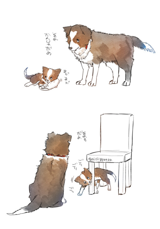 Cover of Senpai and Kouhai