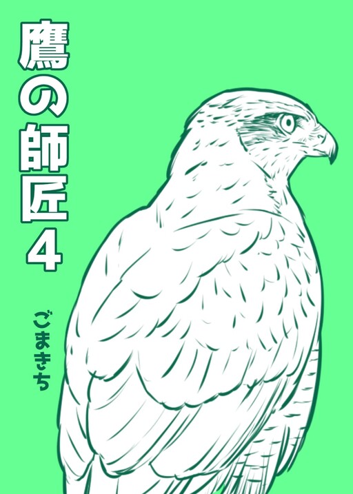 Cover of Hawk Master, It's Hunting Time!