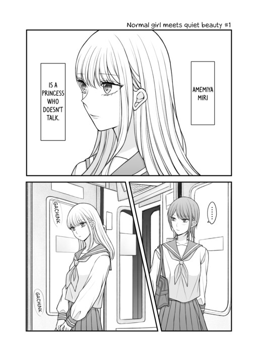 Cover of Normal Girl Meets Quiet Beauty