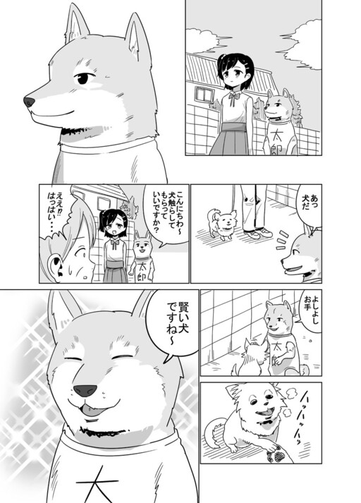 Cover of The dog that doesn't behave like one