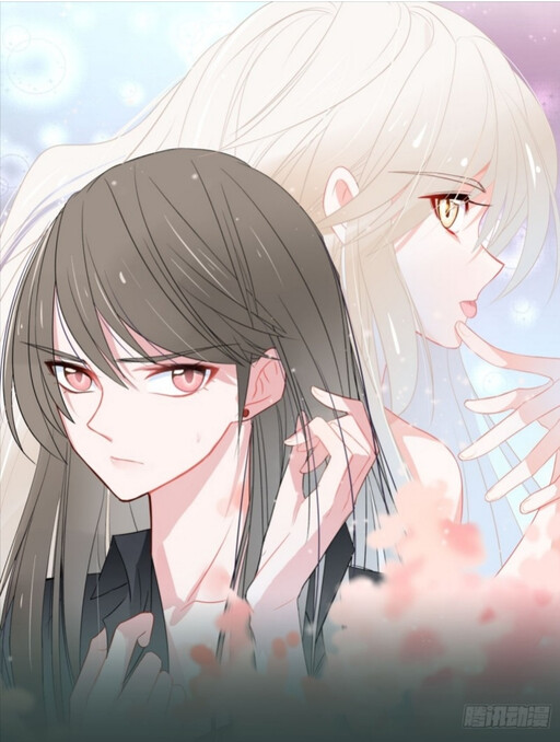 Cover of Words and spirits