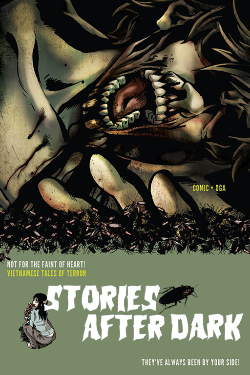 Cover of Stories After Dark: Vietnam