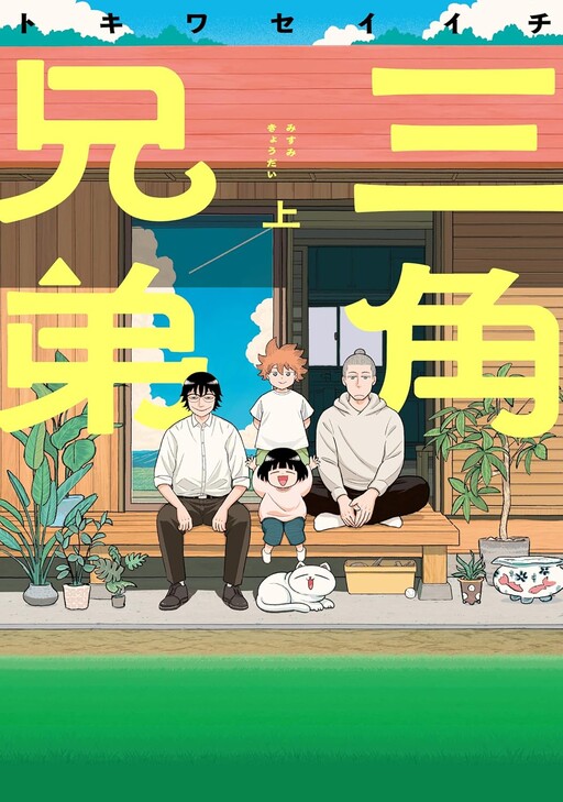 Cover of Triangle Brothers