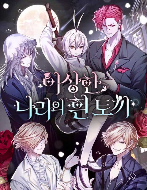 Cover of White Rabbit in Wonderland