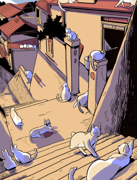 Cover of Welcome to the Island of Cats