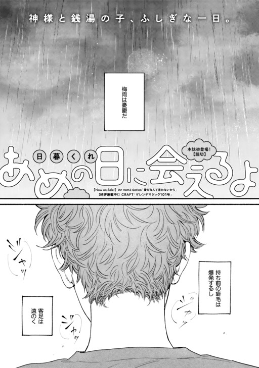 Cover of Ame no Hi ni Aeruyo