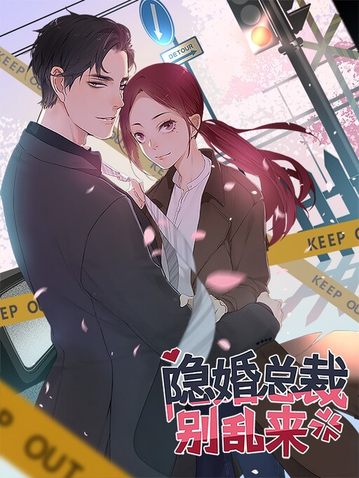 Cover of The Hidden Marriage President, Don't Mess Around