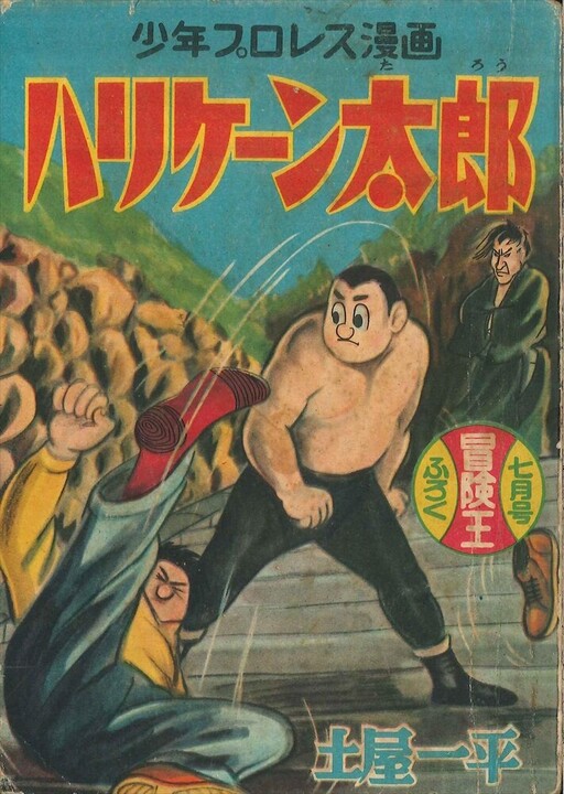 Cover of Hurricane Taro