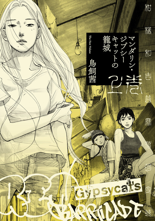 Cover of Mandarin Gypsy Cat's Barricade