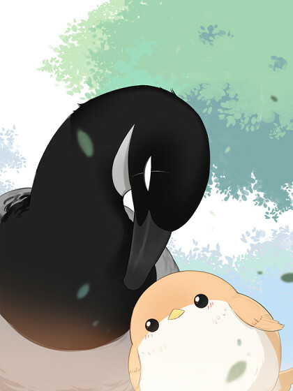 Cover of Southern Bird and Northern Bird