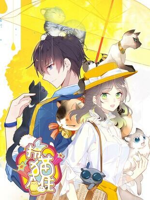Cover of With Cats Only