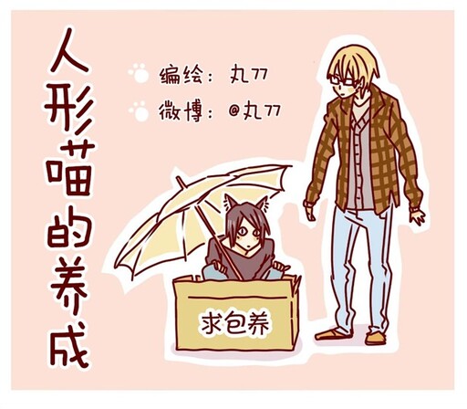 Cover of Raising a Human cat