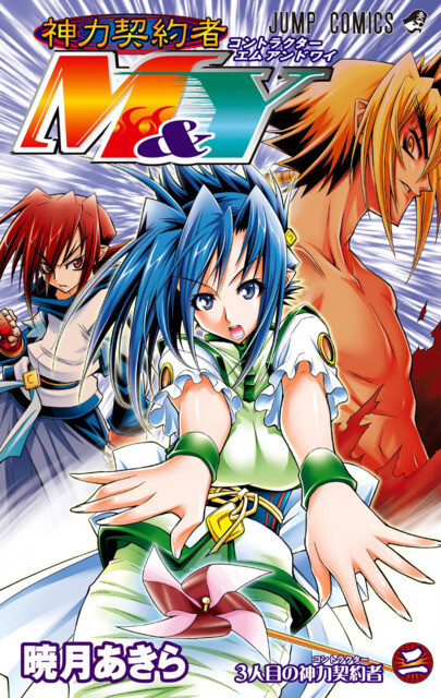 Cover of Divine Contractor M&Y