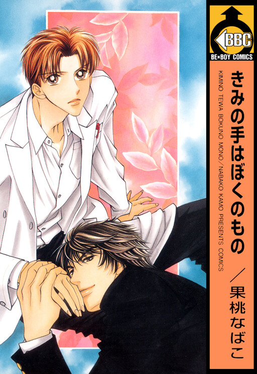 Cover of Kimi no Te wa Boku no Mono
